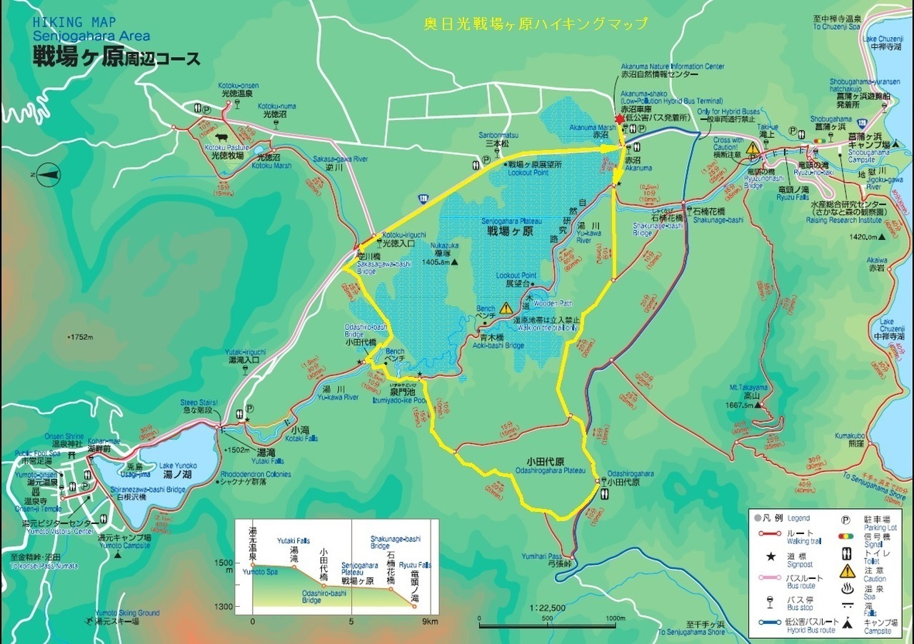 バイク ウォーキング 奥日光 続き ミャーの星２