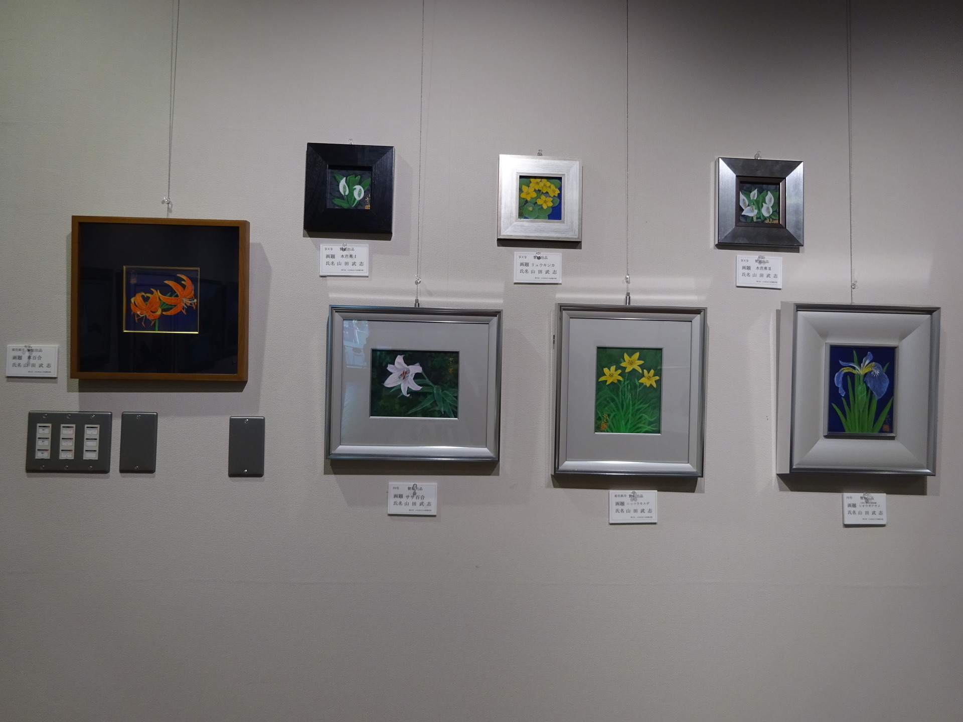 第３７回山田武志日本画教室展: ミャーの星２