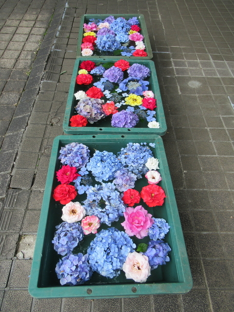 IMG_0083.jpg