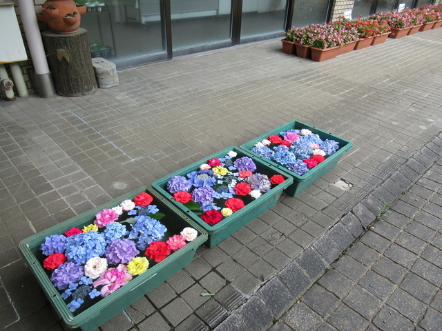 IMG_0084.jpg