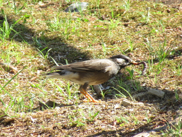 IMG_7881.jpg