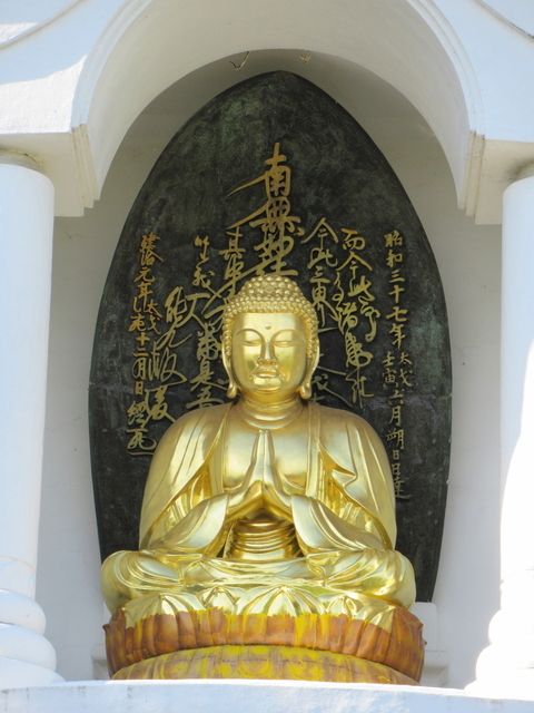 IMG_7953.jpg