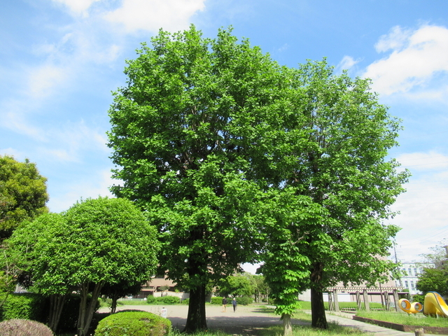 IMG_7960.jpg