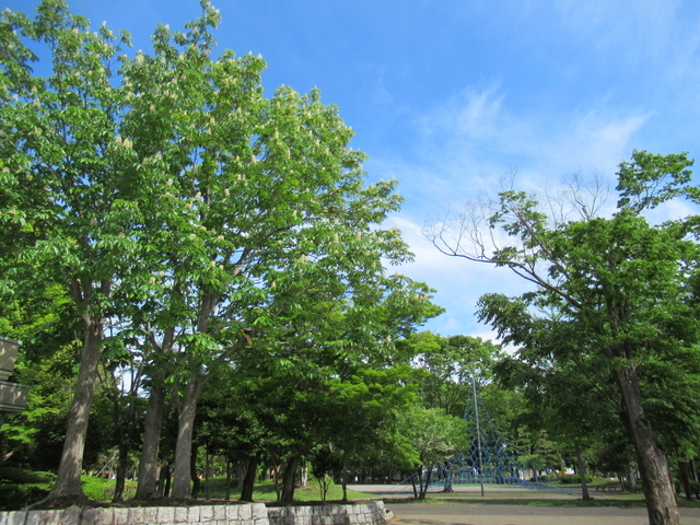 IMG_7976.jpg