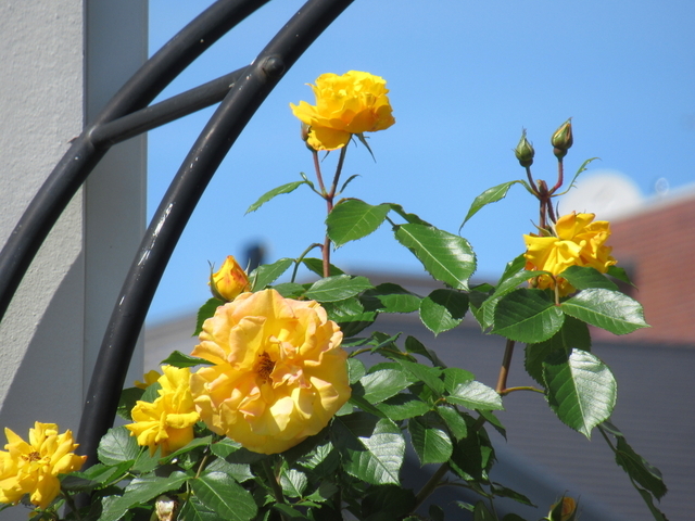 IMG_8014.jpg