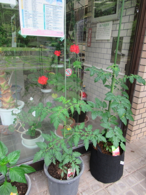IMG_8291.jpg