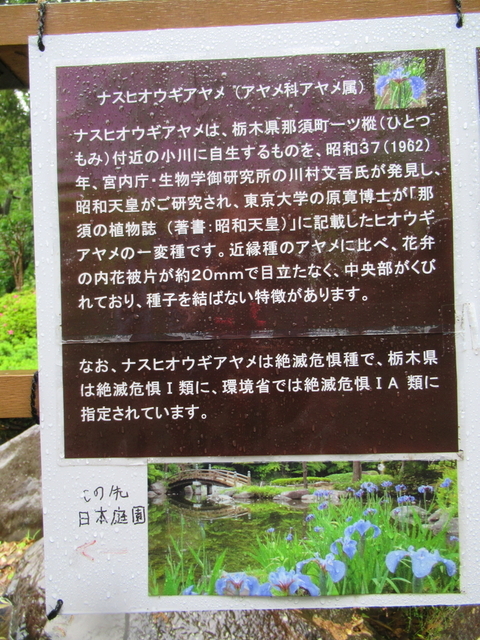 IMG_8324.jpg