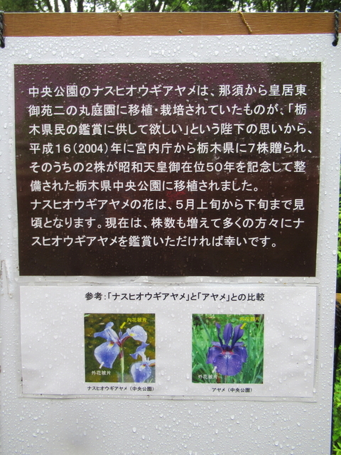 IMG_8325.jpg