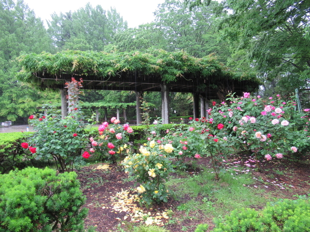 IMG_8352.jpg