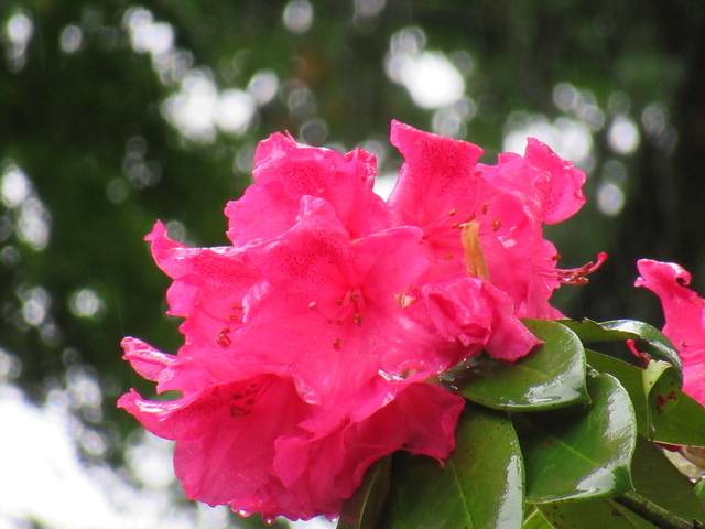 IMG_8428.jpg