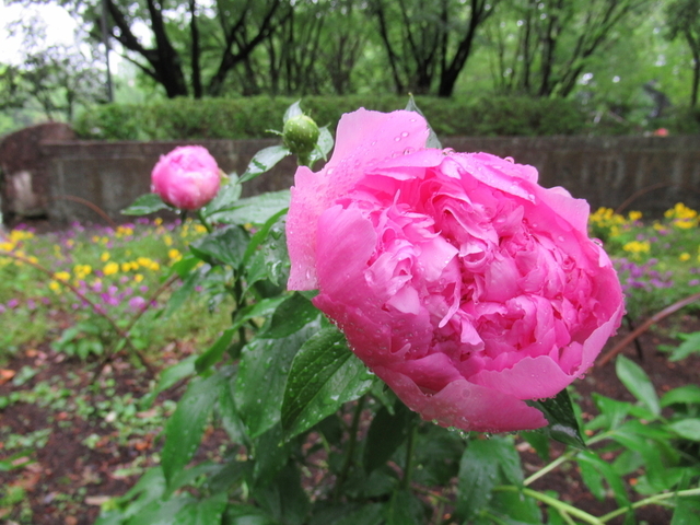 IMG_8438.jpg