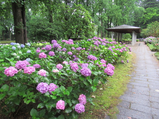 IMG_9459.jpg