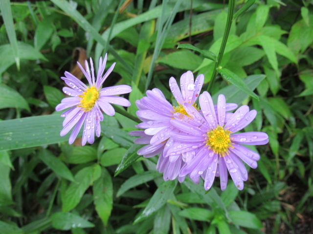 IMG_9573.jpg