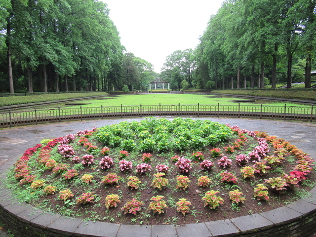 IMG_9636.jpg